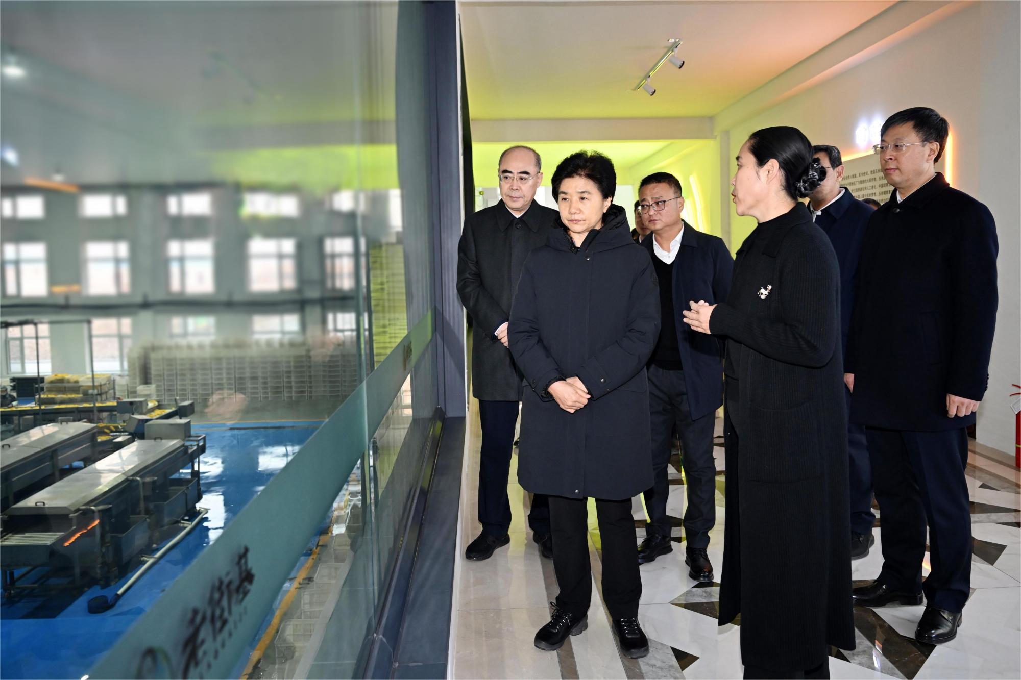 微信图片_20241120195635.jpg